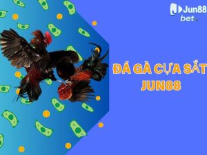 Đá gà cựa sắt Jun88 - Sảnh đá gà đỉnh cao của thời đại