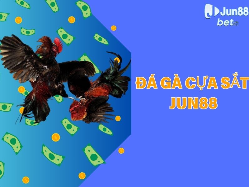 Đá gà cựa sắt Jun88 - Sảnh đá gà đỉnh cao của thời đại